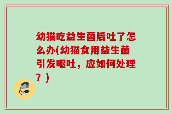幼猫吃益生菌后吐了怎么办(幼猫食用益生菌引发，应如何处理？)