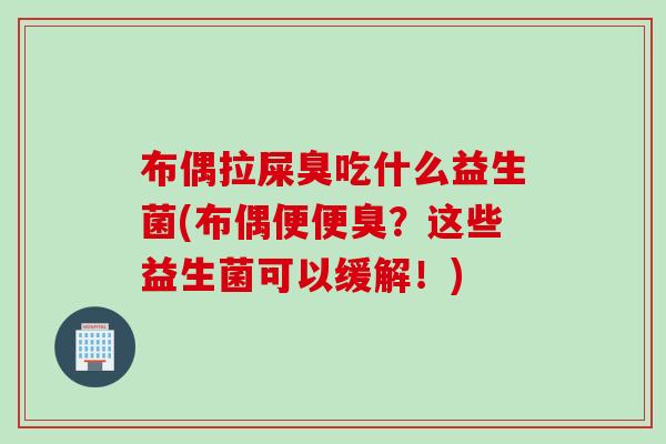 布偶拉屎臭吃什么益生菌(布偶便便臭？这些益生菌可以缓解！)