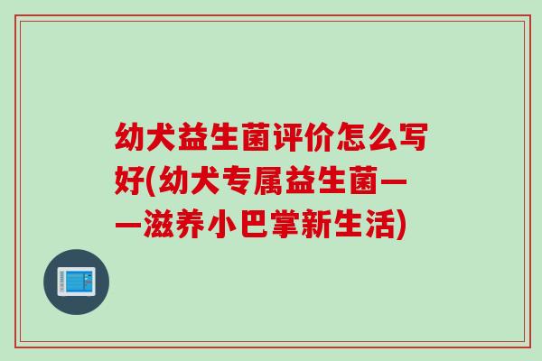 幼犬益生菌评价怎么写好(幼犬专属益生菌——滋养小巴掌新生活)