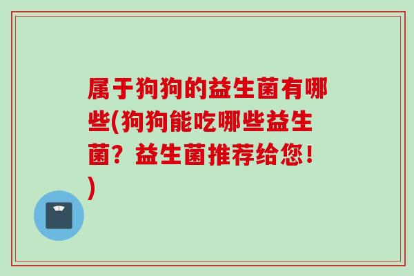 属于狗狗的益生菌有哪些(狗狗能吃哪些益生菌？益生菌推荐给您！)
