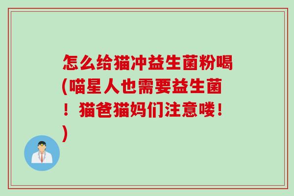 怎么给猫冲益生菌粉喝(喵星人也需要益生菌！猫爸猫妈们注意喽！)