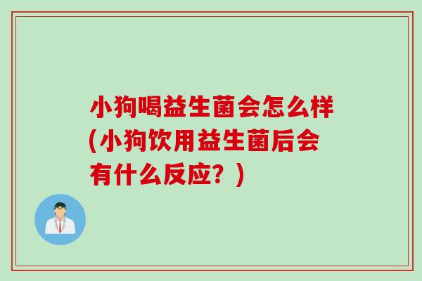 小狗喝益生菌会怎么样(小狗饮用益生菌后会有什么反应?) 小狗喝益生菌会怎么样(小狗饮用益生菌后会有什么反应?)