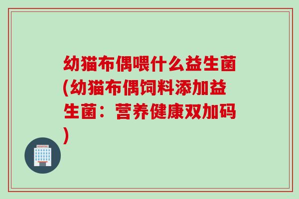幼猫布偶喂什么益生菌(幼猫布偶饲料添加益生菌：营养健康双加码)