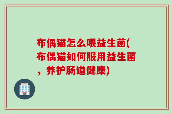 布偶猫怎么喂益生菌(布偶猫如何服用益生菌,养护肠道健康) 布偶猫怎么喂益生菌(布偶猫如何服用益生菌,养护肠道健康)