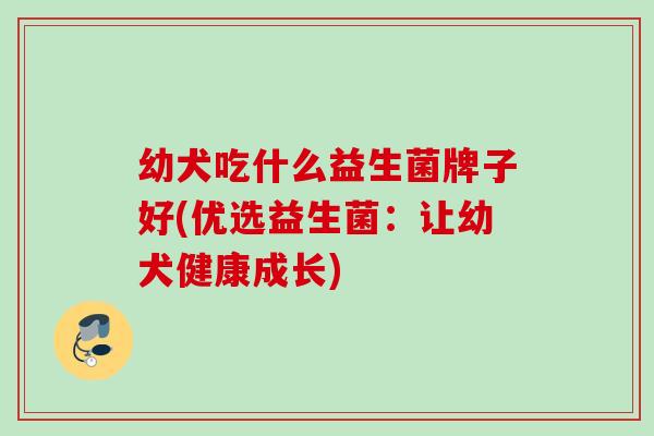 幼犬吃什么益生菌牌子好(优选益生菌：让幼犬健康成长)