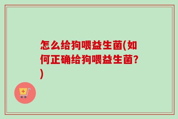 怎么给狗喂益生菌(如何正确给狗喂益生菌？)