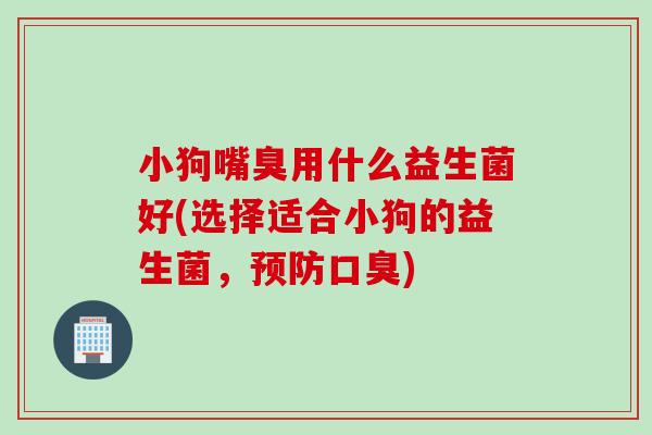 小狗嘴臭用什么益生菌好(选择适合小狗的益生菌,) 小狗嘴臭用什么益生菌好(选择适合小狗的益生菌,)