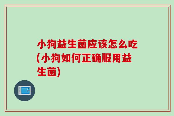 小狗益生菌应该怎么吃(小狗如何正确服用益生菌)