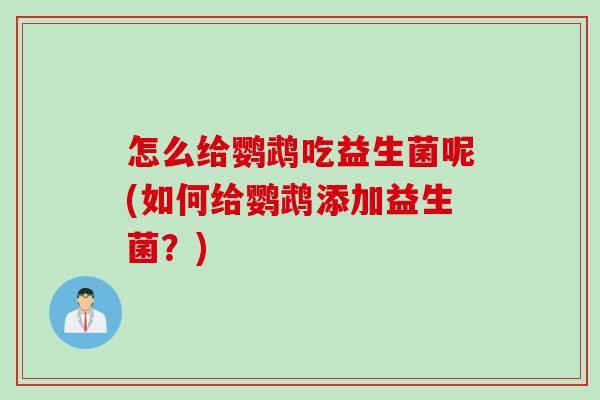 怎么给鹦鹉吃益生菌呢(如何给鹦鹉添加益生菌？)