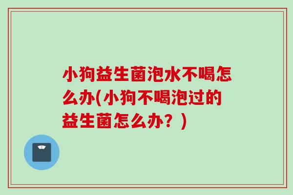 小狗益生菌泡水不喝怎么办(小狗不喝泡过的益生菌怎么办？)