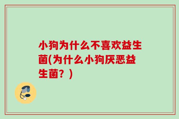 小狗为什么不喜欢益生菌(为什么小狗厌恶益生菌？)