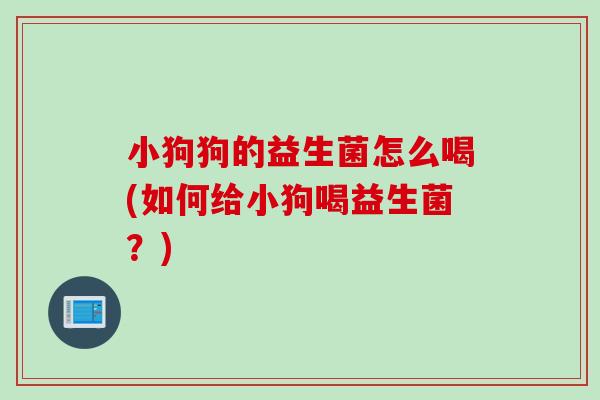小狗狗的益生菌怎么喝(如何给小狗喝益生菌?) 小狗狗的益生菌怎么喝(如何给小狗喝益生菌?)