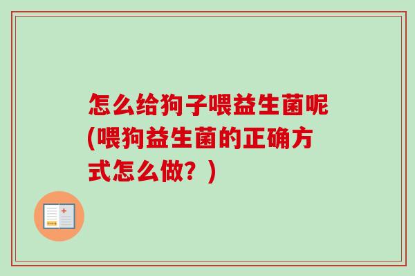 怎么给狗子喂益生菌呢(喂狗益生菌的正确方式怎么做?) 怎么给狗子喂益生菌呢(喂狗益生菌的正确方式怎么做?)