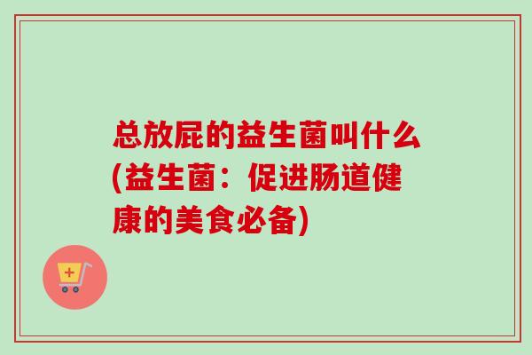 总放屁的益生菌叫什么(益生菌：促进肠道健康的美食必备)
