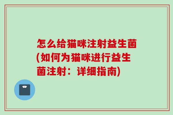 怎么给猫咪注射益生菌(如何为猫咪进行益生菌注射：详细指南)