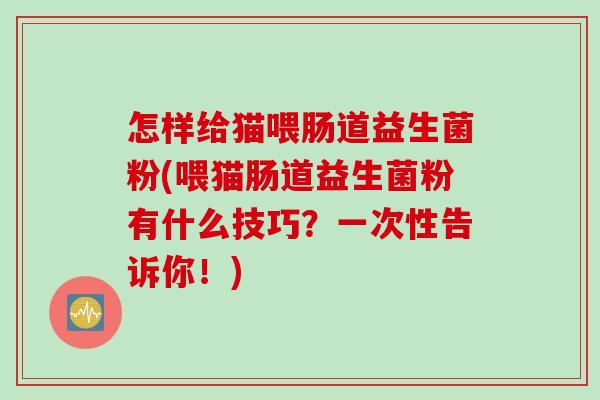 怎样给猫喂肠道益生菌粉(喂猫肠道益生菌粉有什么技巧？一次性告诉你！)