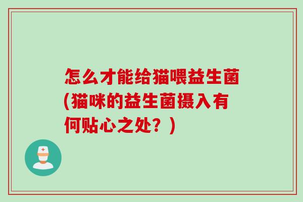 怎么才能给猫喂益生菌(猫咪的益生菌摄入有何贴心之处？)