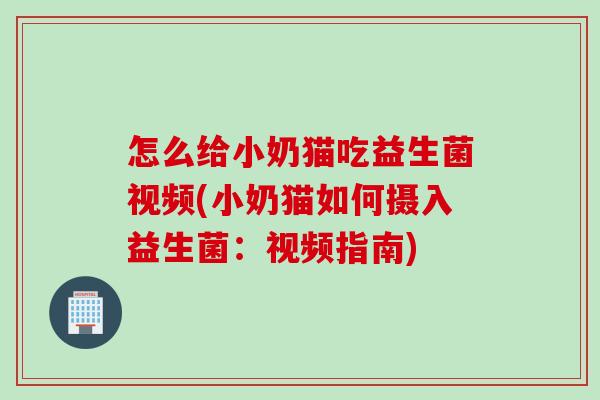 怎么给小奶猫吃益生菌视频(小奶猫如何摄入益生菌:视频指南) 怎么给小奶猫吃益生菌视频(小奶猫如何摄入益生菌:视频指南)