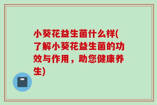 小葵花益生菌什么样(了解小葵花益生菌的功效与作用，助您健康养生)