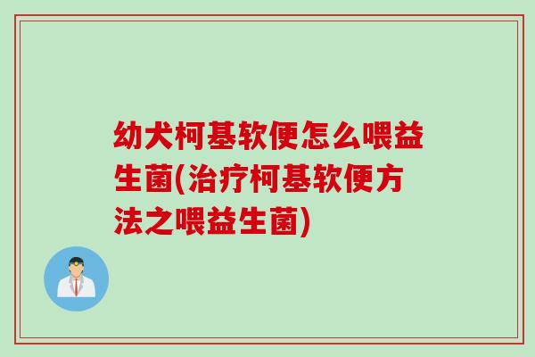 幼犬柯基软便怎么喂益生菌(柯基软便方法之喂益生菌) 幼犬柯基软便怎么喂益生菌(柯基软便方法之喂益生菌)