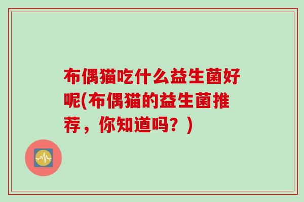 布偶猫吃什么益生菌好呢(布偶猫的益生菌推荐，你知道吗？)