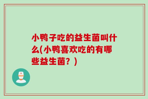 小鸭子吃的益生菌叫什么(小鸭喜欢吃的有哪些益生菌？)