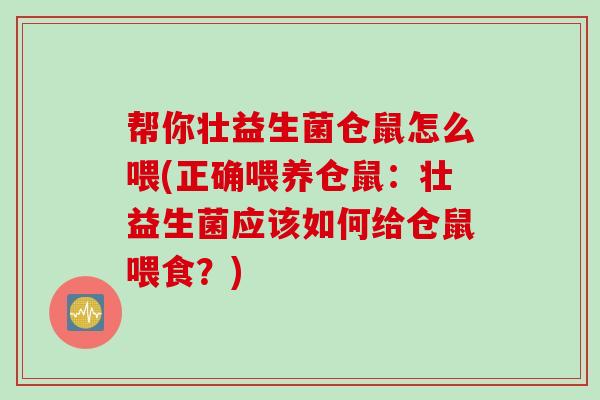 帮你壮益生菌仓鼠怎么喂(正确喂养仓鼠：壮益生菌应该如何给仓鼠喂食？)