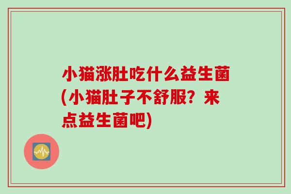 小猫涨肚吃什么益生菌(小猫肚子不舒服？来点益生菌吧)