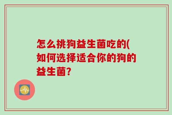 怎么挑狗益生菌吃的(如何选择适合你的狗的益生菌？