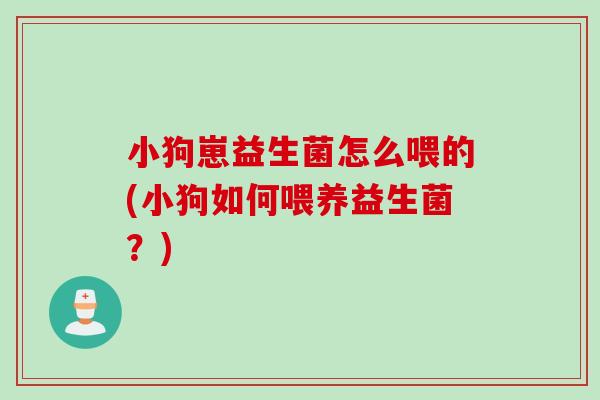 小狗崽益生菌怎么喂的(小狗如何喂养益生菌？)