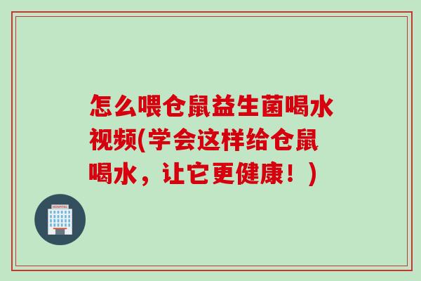 怎么喂仓鼠益生菌喝水视频(学会这样给仓鼠喝水，让它更健康！)