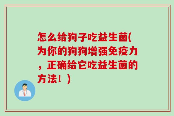 怎么给狗子吃益生菌(为你的狗狗增强力，正确给它吃益生菌的方法！)