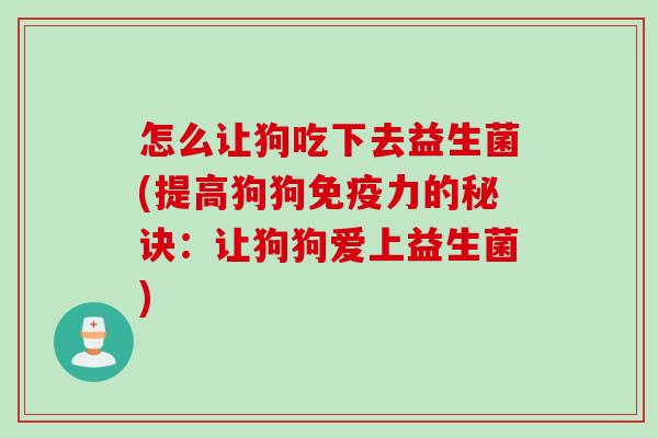 怎么让狗吃下去益生菌(提高狗狗力的秘诀：让狗狗爱上益生菌)