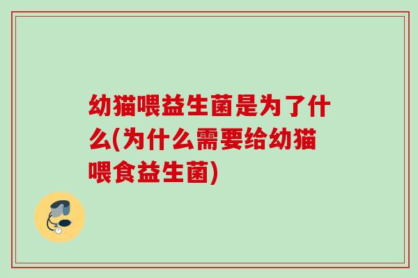 幼猫喂益生菌是为了什么(为什么需要给幼猫喂食益生菌)