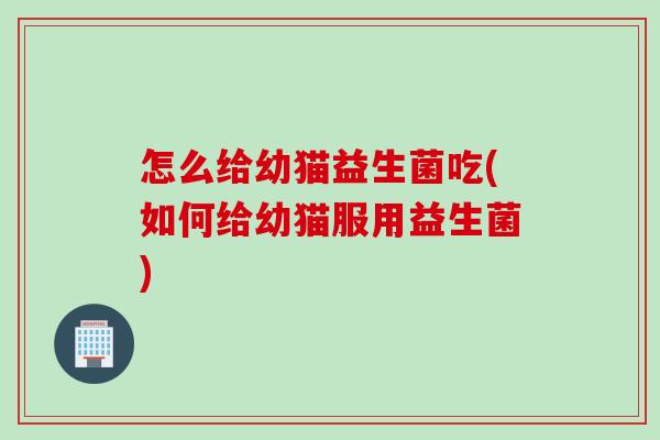 怎么给幼猫益生菌吃(如何给幼猫服用益生菌)