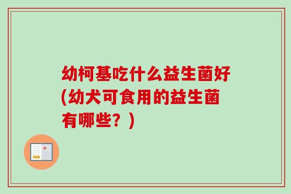 幼柯基吃什么益生菌好(幼犬可食用的益生菌有哪些？)