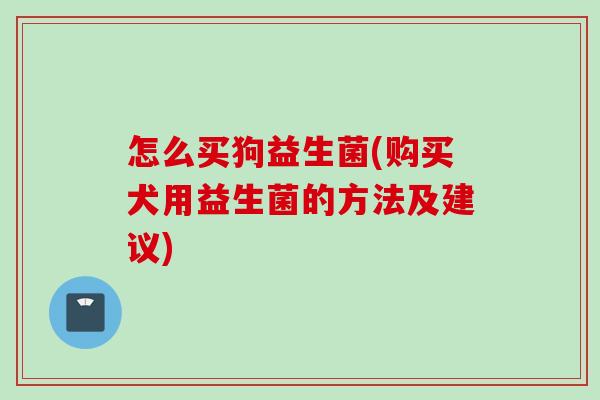 怎么买狗益生菌(购买犬用益生菌的方法及建议)