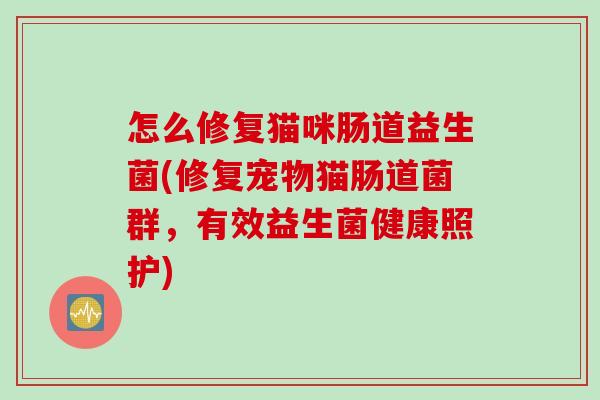 怎么修复猫咪肠道益生菌(修复宠物猫肠道菌群，有效益生菌健康照护)