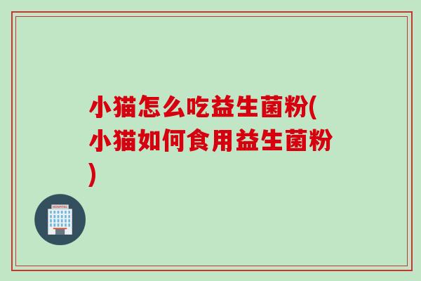 小猫怎么吃益生菌粉(小猫如何食用益生菌粉)