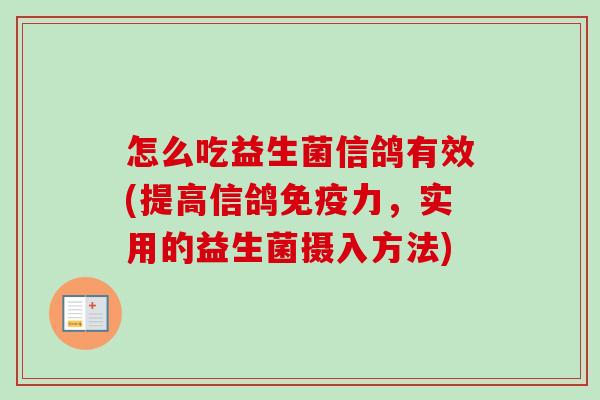 怎么吃益生菌信鸽有效(提高信鸽力，实用的益生菌摄入方法)