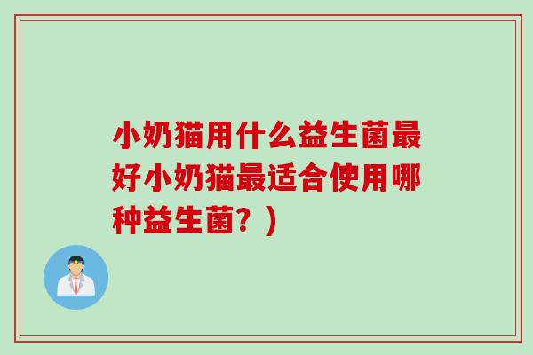 小奶猫用什么益生菌好小奶猫适合使用哪种益生菌？)