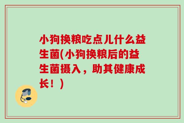 小狗换粮吃点儿什么益生菌(小狗换粮后的益生菌摄入，助其健康成长！)