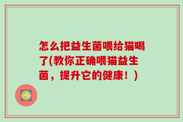 怎么把益生菌喂给猫喝了(教你正确喂猫益生菌,提升它的健康!) 怎么把益生菌喂给猫喝了(教你正确喂猫益生菌,提升它的健康!)