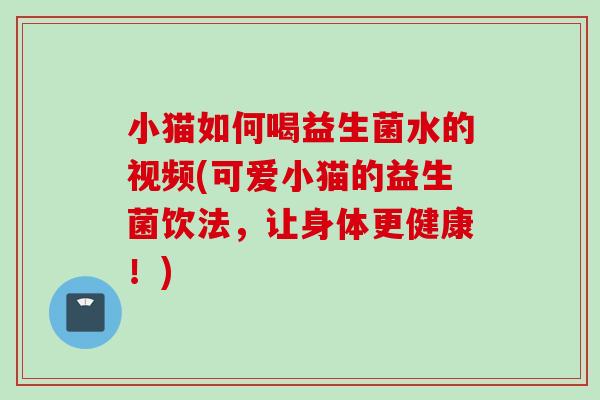 小猫如何喝益生菌水的视频(可爱小猫的益生菌饮法,让身体更健康!) 小猫如何喝益生菌水的视频(可爱小猫的益生菌饮法,让身体更健康!)