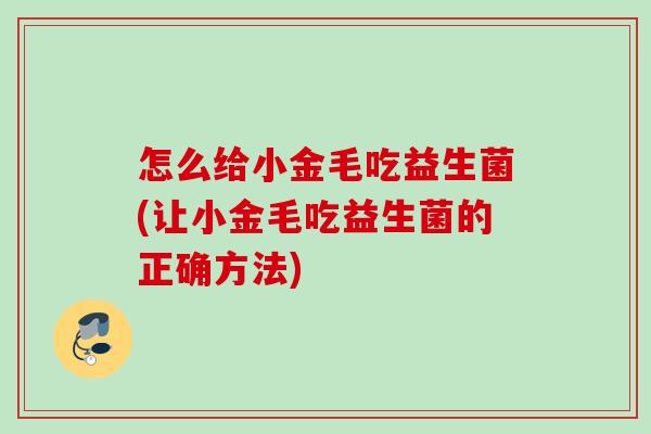 怎么给小金毛吃益生菌(让小金毛吃益生菌的正确方法) 怎么给小金毛吃益生菌(让小金毛吃益生菌的正确方法)