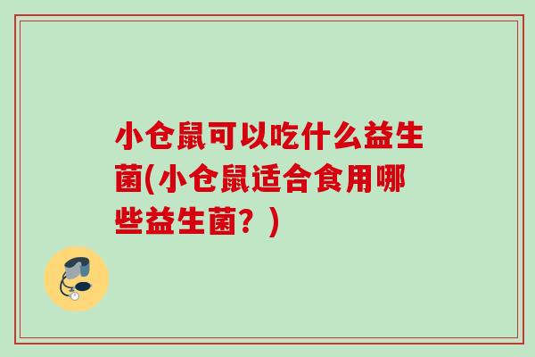 小仓鼠可以吃什么益生菌(小仓鼠适合食用哪些益生菌？)