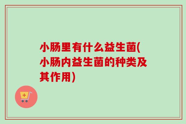 小肠里有什么益生菌(小肠内益生菌的种类及其作用)