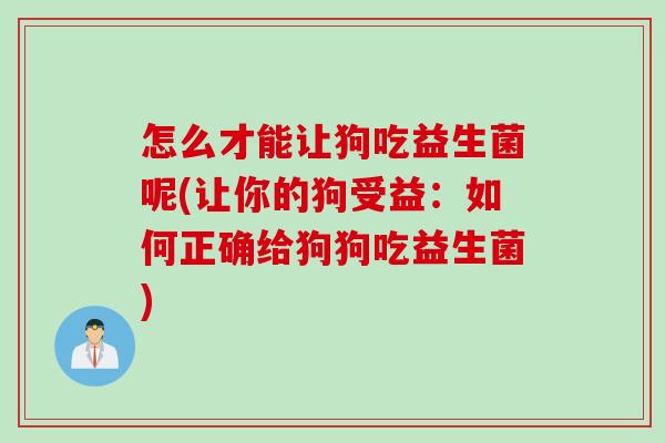 怎么才能让狗吃益生菌呢(让你的狗受益：如何正确给狗狗吃益生菌)