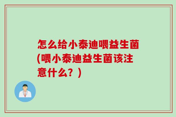 怎么给小泰迪喂益生菌(喂小泰迪益生菌该注意什么？)