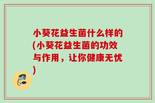 小葵花益生菌什么样的(小葵花益生菌的功效与作用，让你健康无忧)
